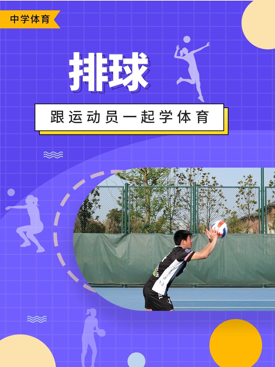 跟运动员一起学体育:排球