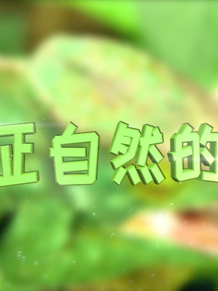 见证自然的奇迹