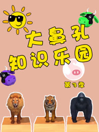 中日韩在线电影